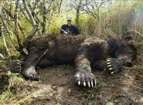 "It's the only way I could capture one," he said. . Giant bear killed in russia for killing humans facebook